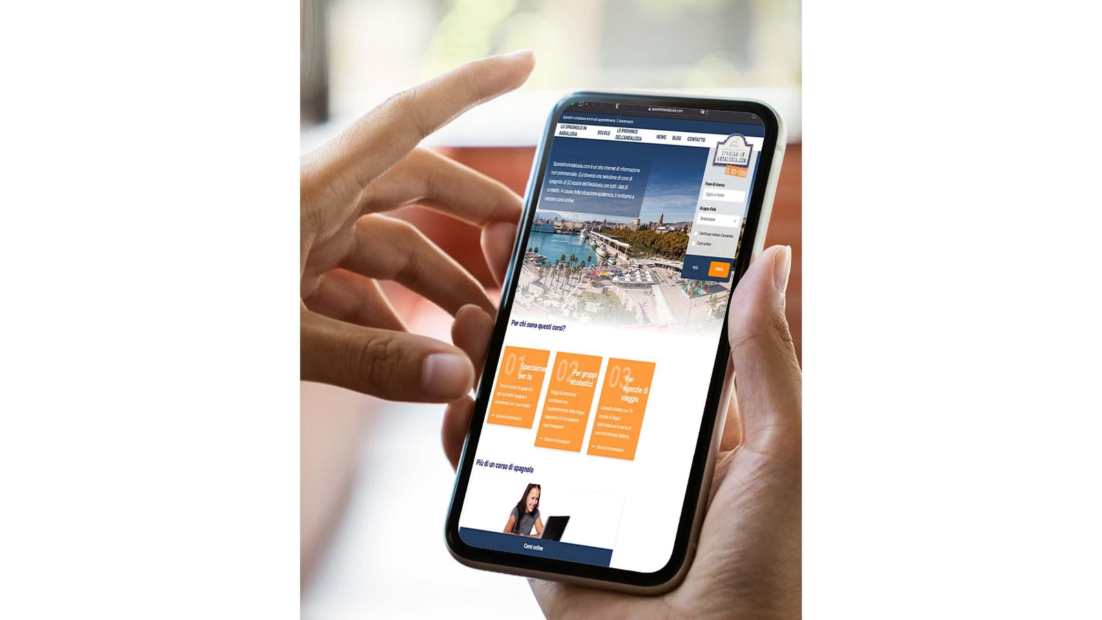 Andalucía Extenda idioma web