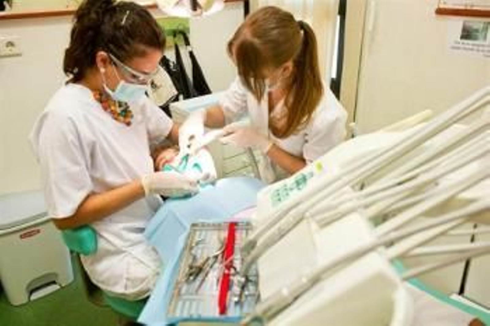 Foto: MIGUEL D. M. (WWW.MDMFOTO.ES)