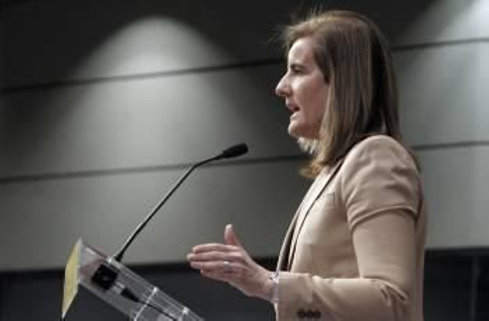 La ministra de Trabajo, Fátima Báñez, durante su comparecencia ante la prensa hoy (Foto: EFE)