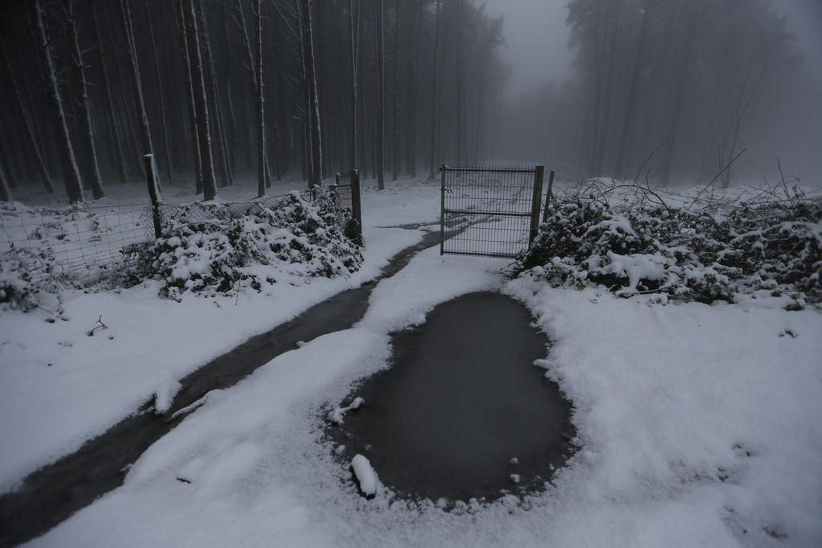 La nieve cubre el Alto de Fontefría // Alberte