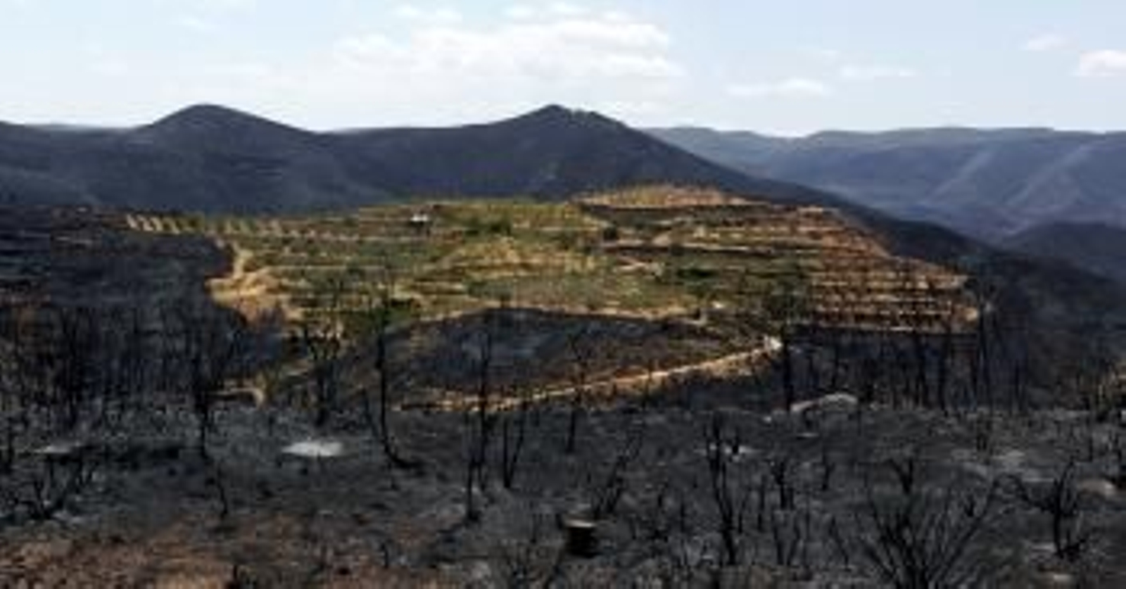 Imagen de archivo de un incendio (Foto: EFE)