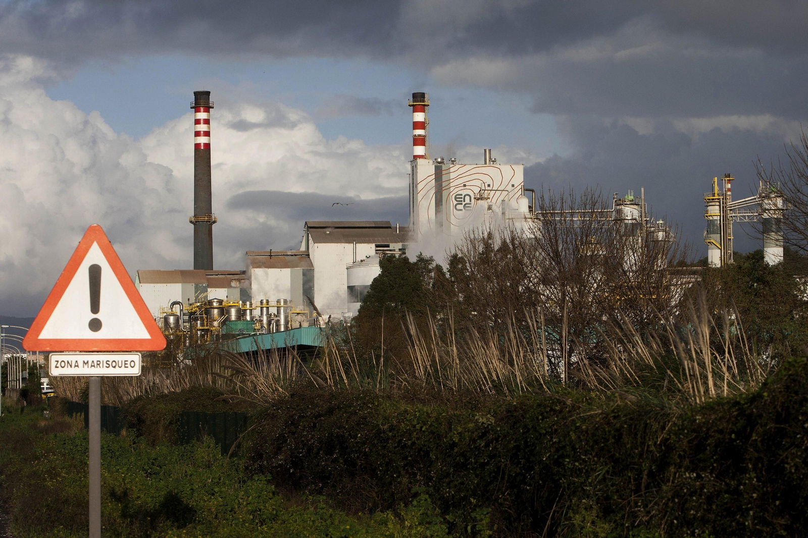 Exterior de las instalaciones de la factoría de Ence en Pontevedra.