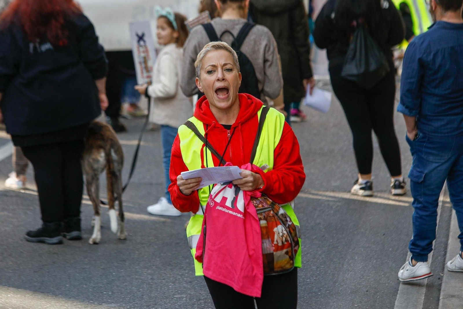 Manifestación en Vigo por los derechos de los animales.