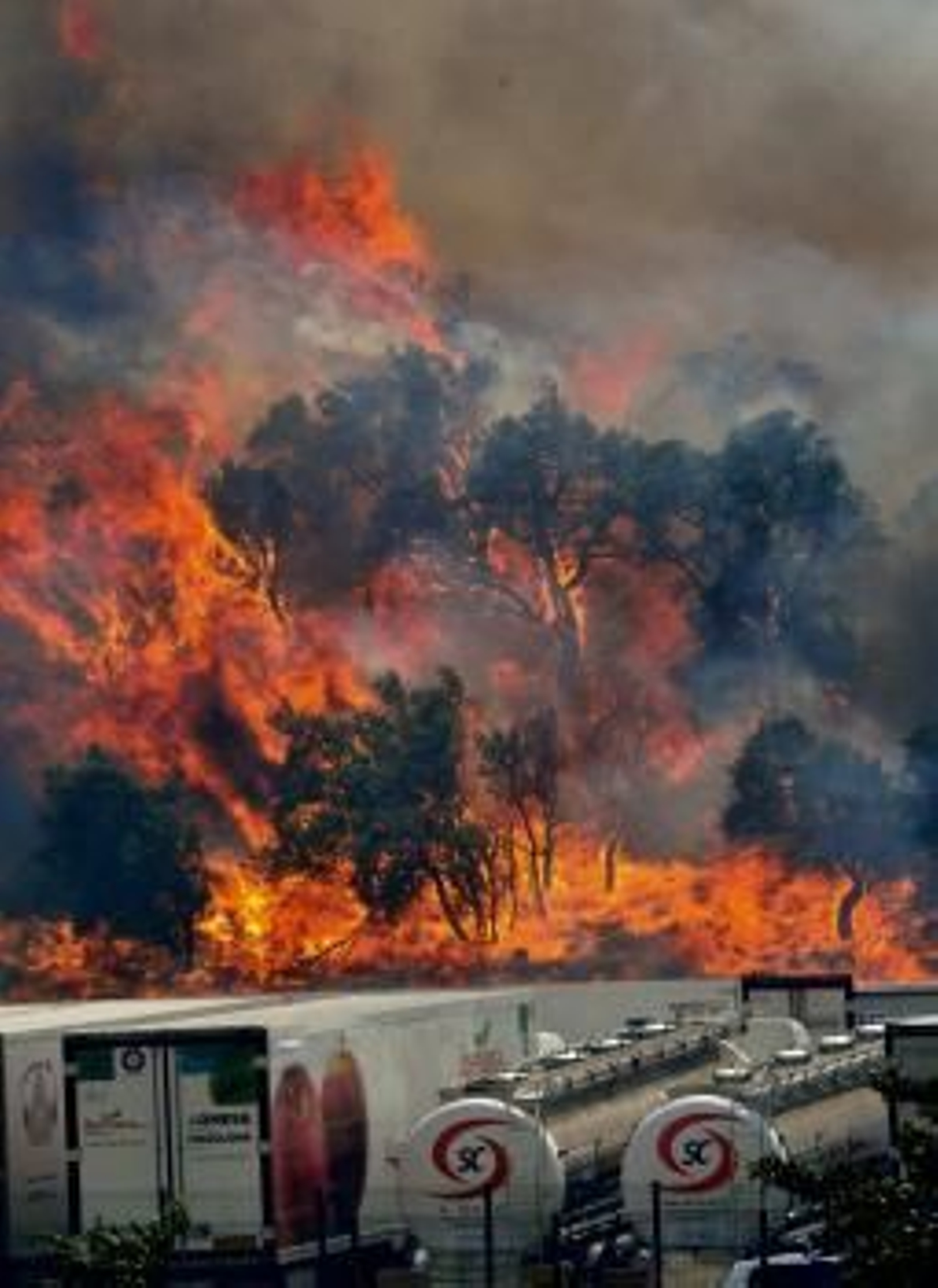 Las llamas, junto a la frontera de La Jorquera
