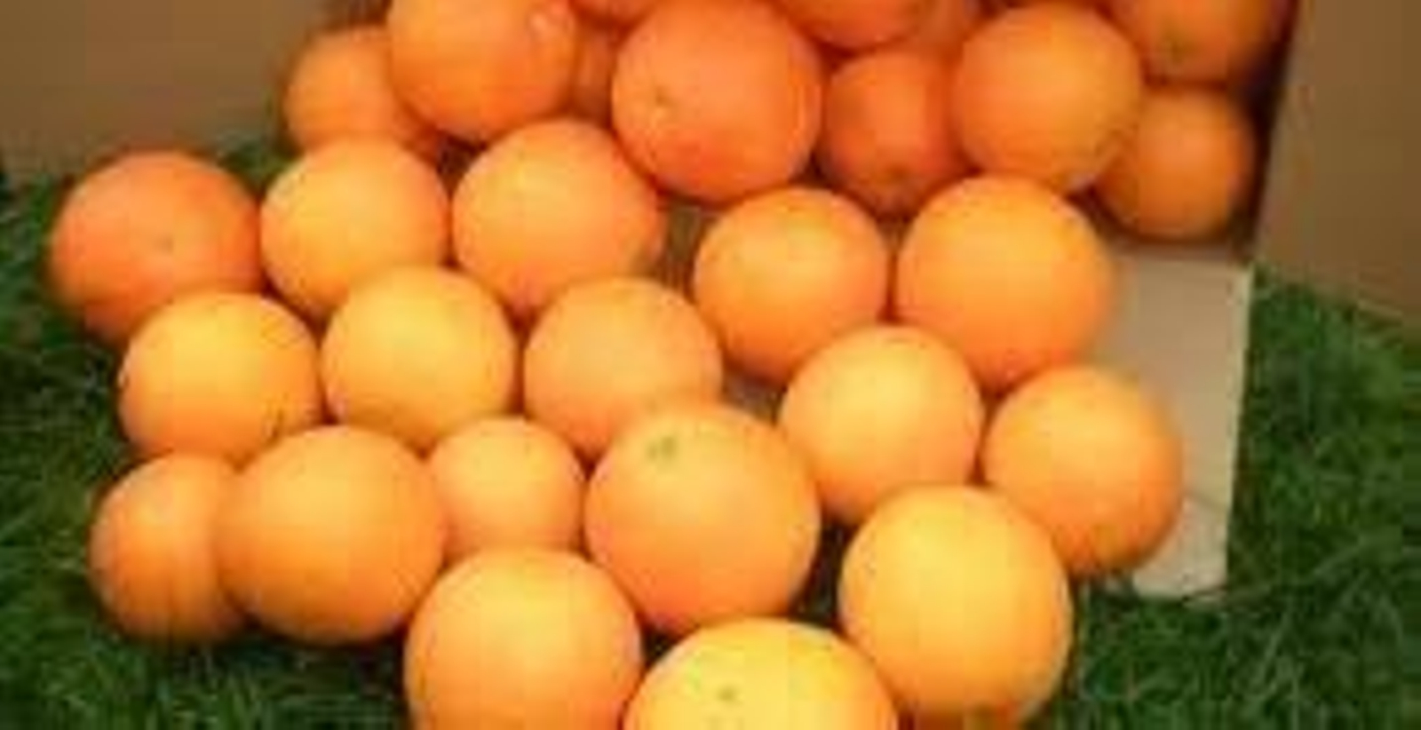 Introdujeron la droga en naranjas, mediante un agujero.