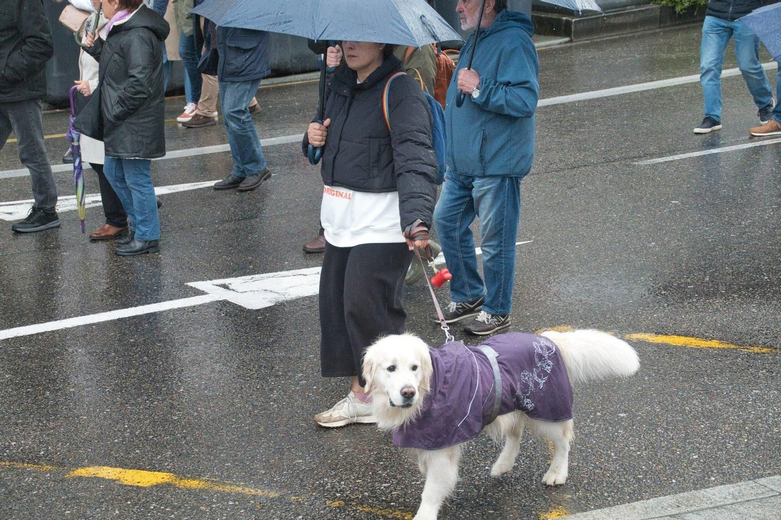 Un perro en la manifestación de UGT y CCOO.