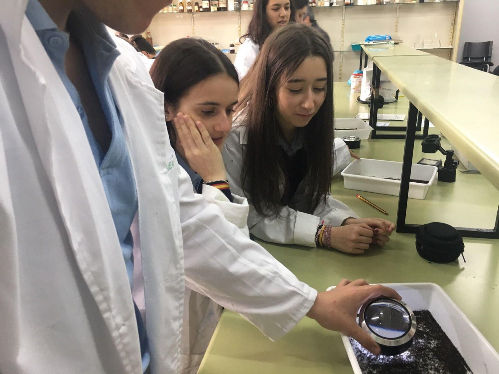 Escolares experimentando con los microscopios.