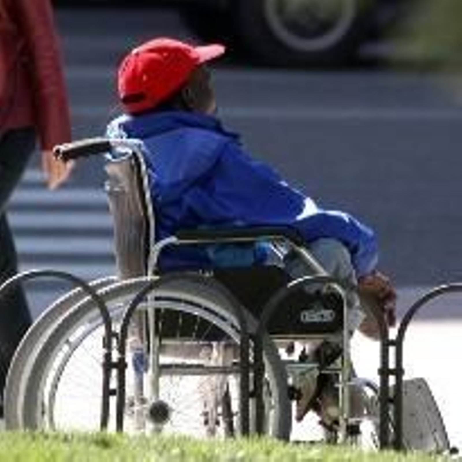 Todos los autobuses tendrán accesibilidad con rampa.