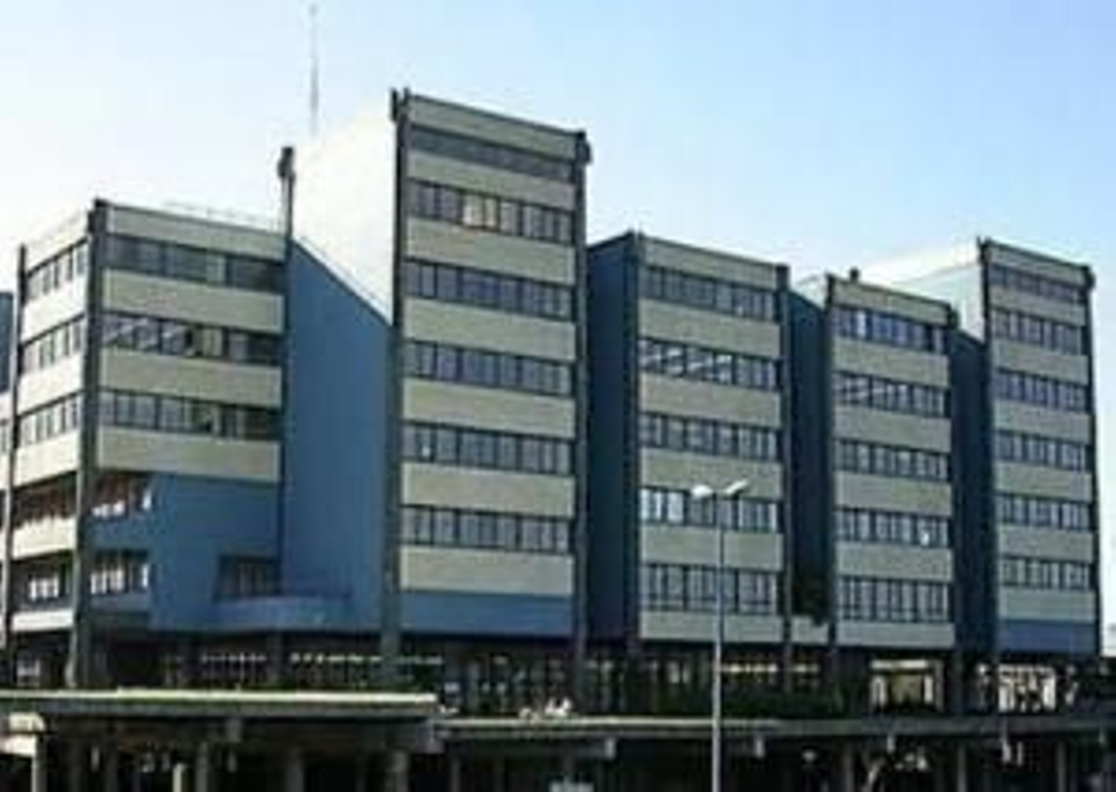 Universidad del País Vasco.