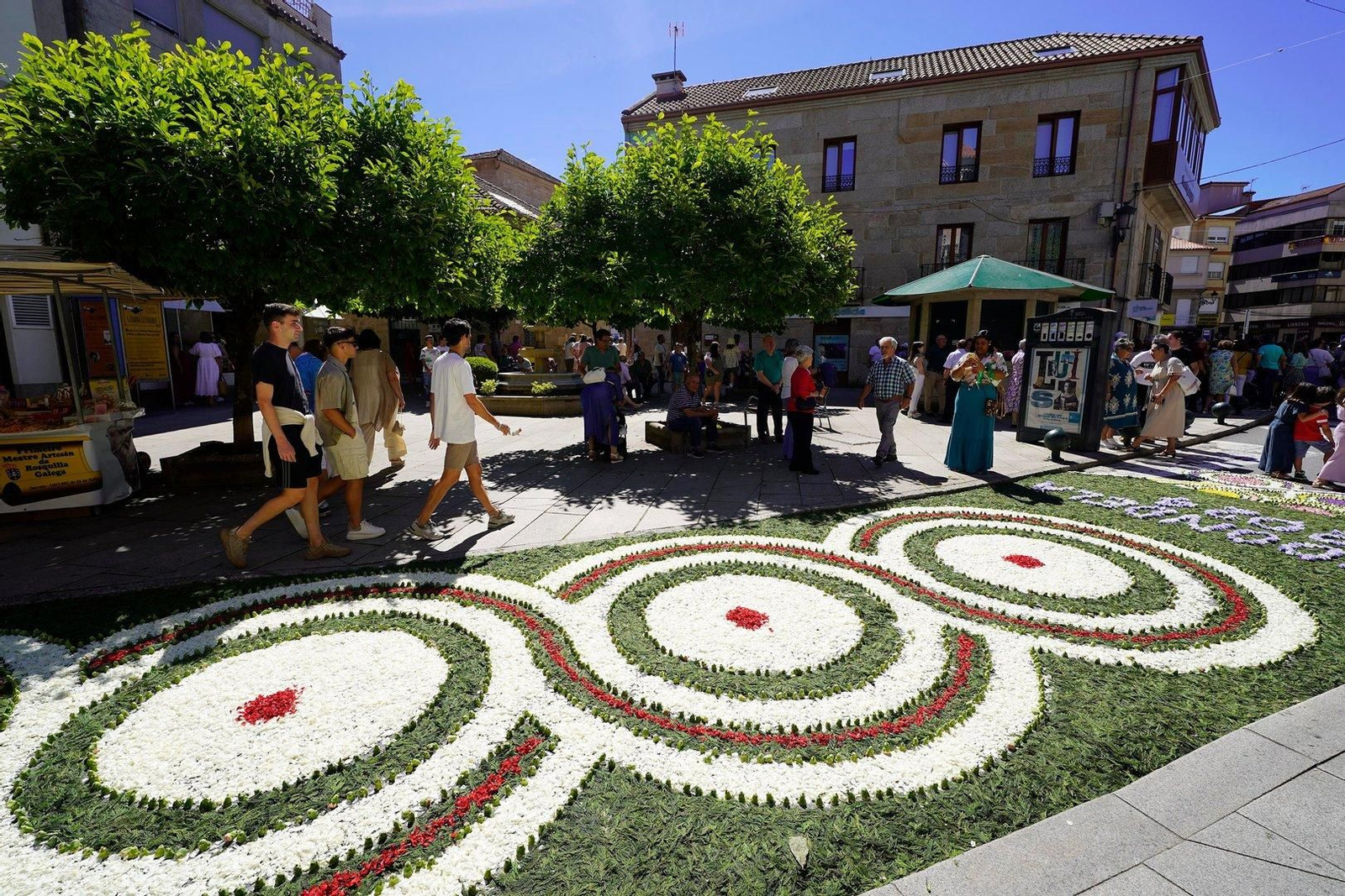 Alfombras florales en la Festa da Coca de Redondela 2024.