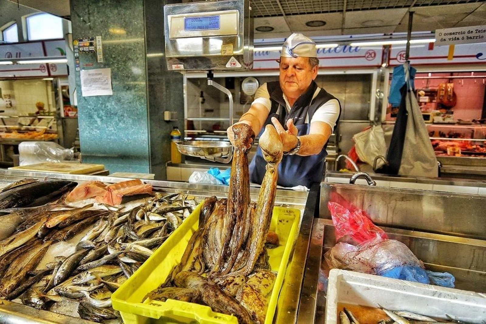 Un pescadero del Mercado de Teis muestra dos ejemplares de pulpo gallego capturados ayer, a 9,90 euros el kilo.