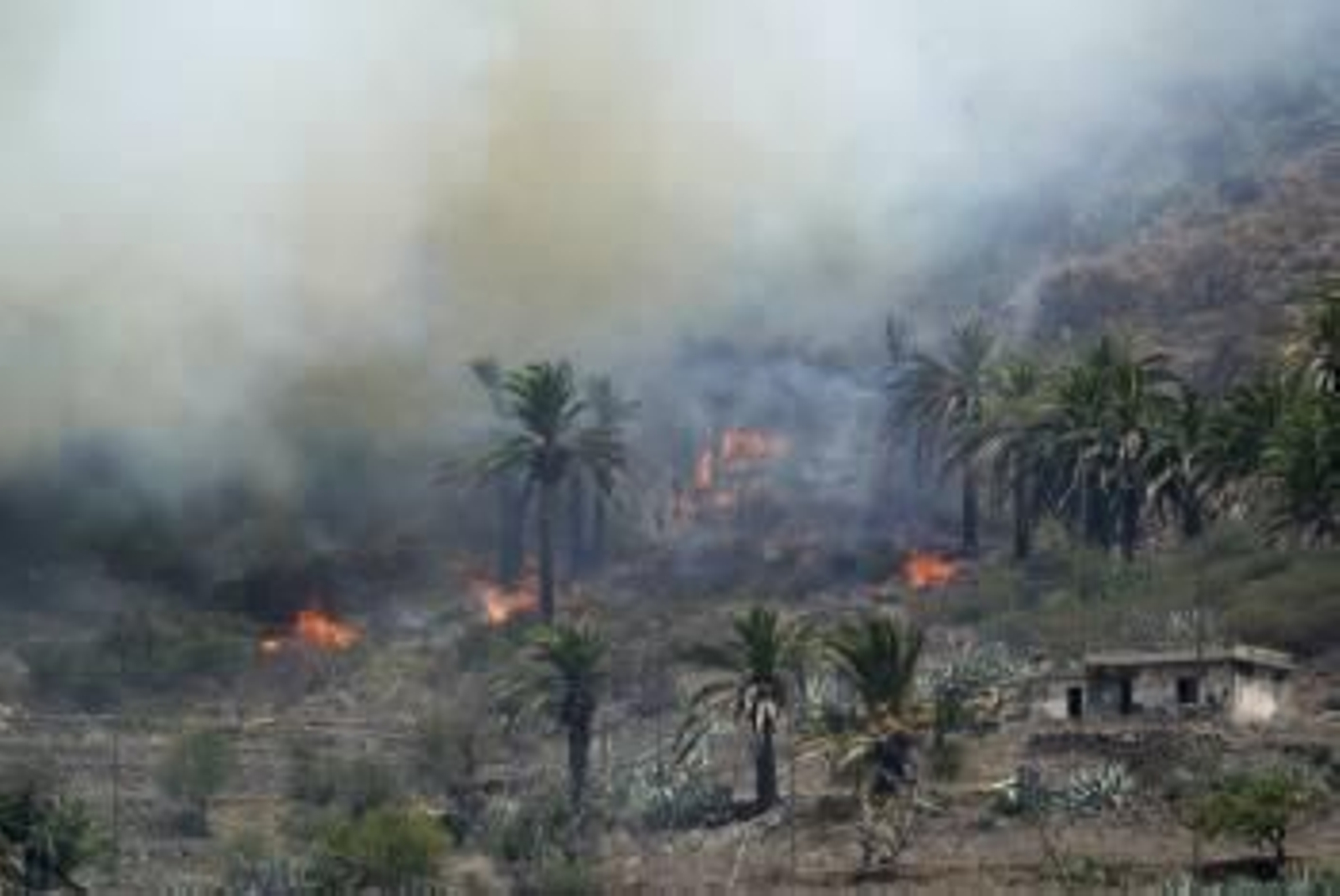 Las llamas se aproximan al caserío de Vegaipala en San Sebastián de la Gomera. (Foto: CARLOS FDEZ)
