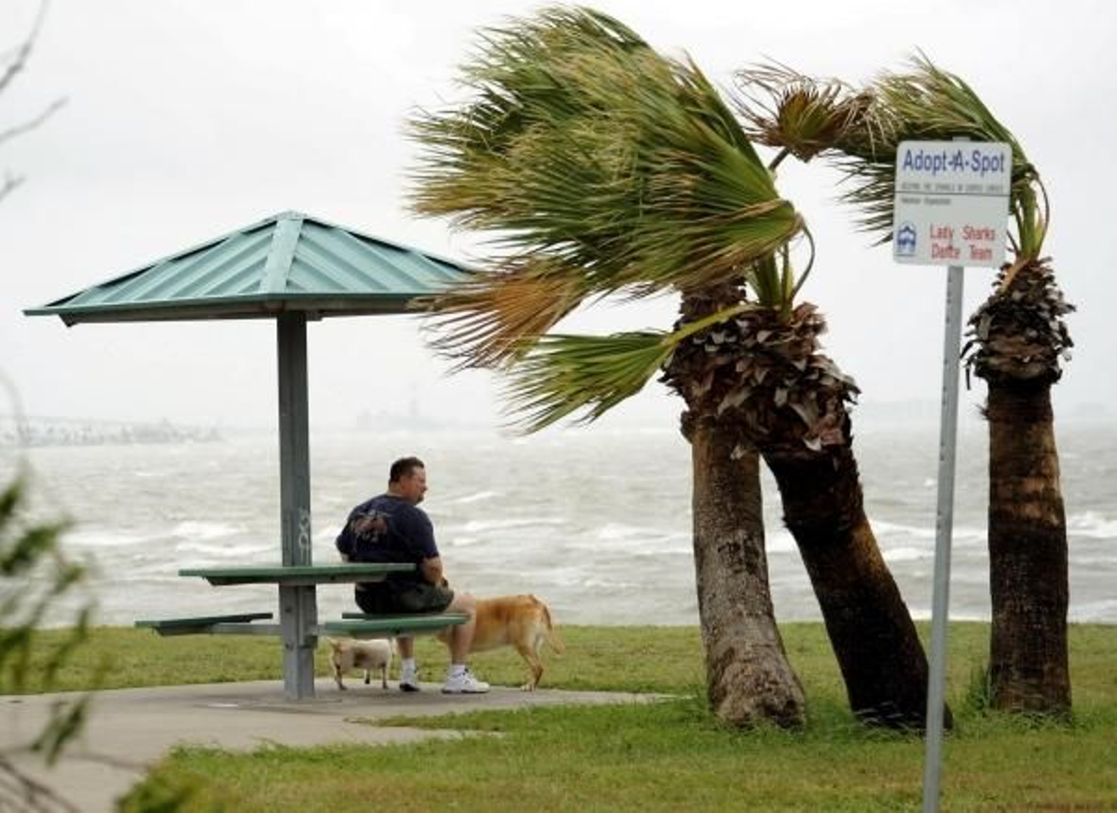 Un hombre observa el estado de la playa tras el paso del huracán. (Foto: Bob Pearson)