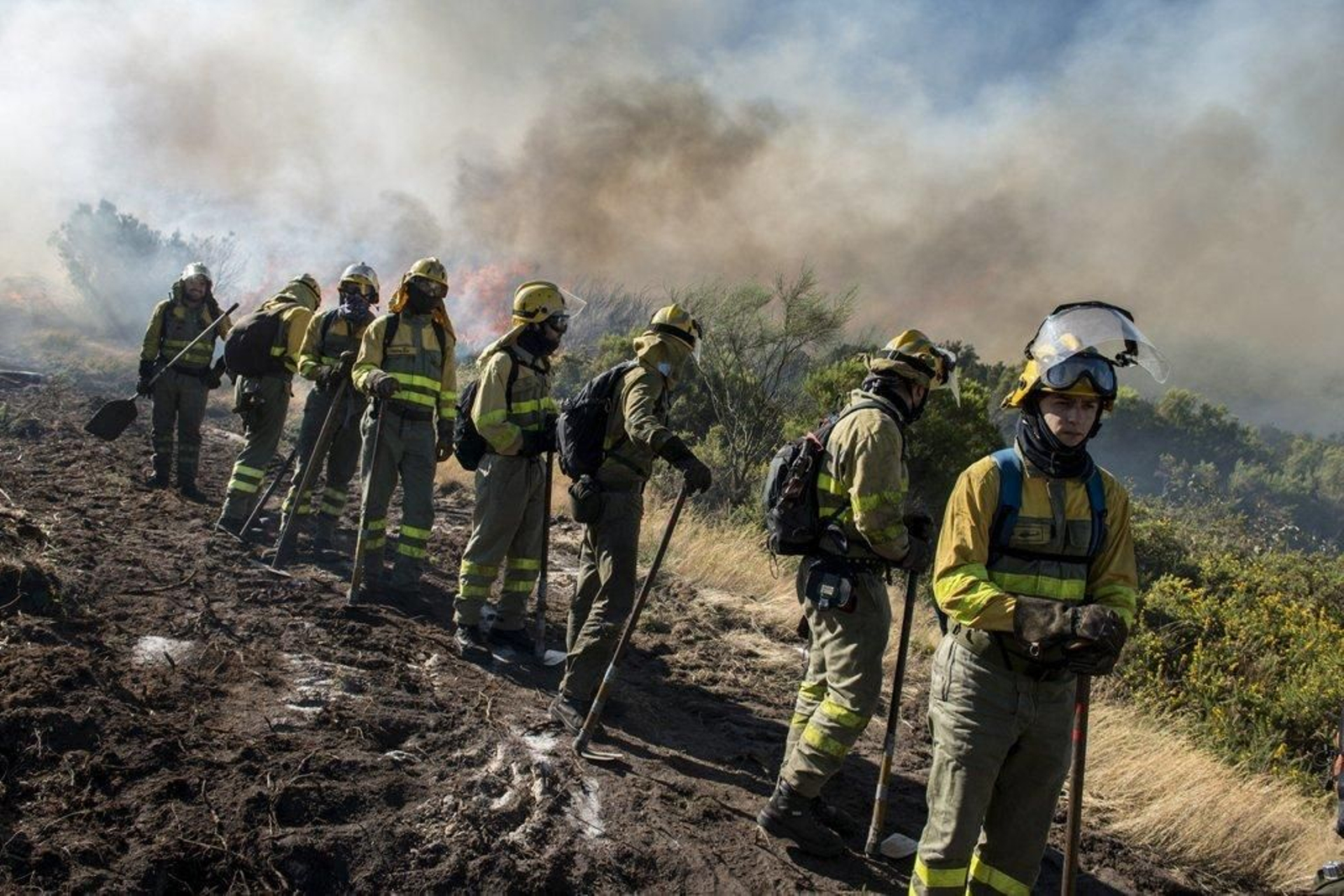 Un equipo de brigadistas, desplegado ante un incendio