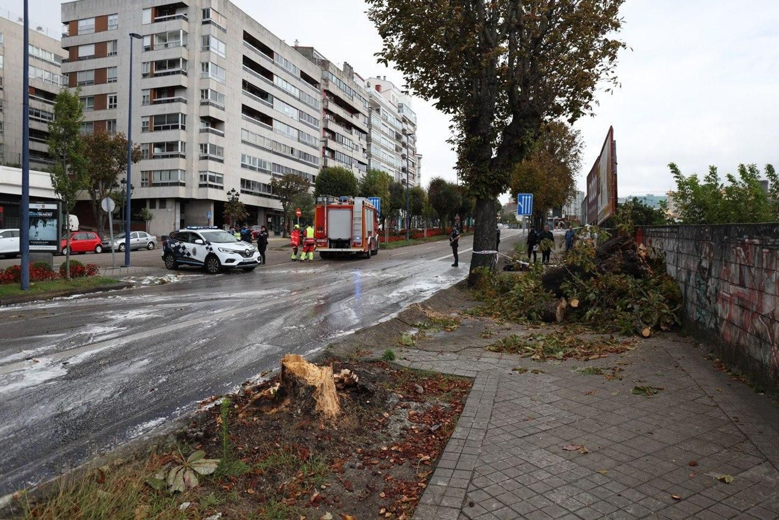 El árbol que cayó en Gran Vía y produjo un accidente. // Alberte
