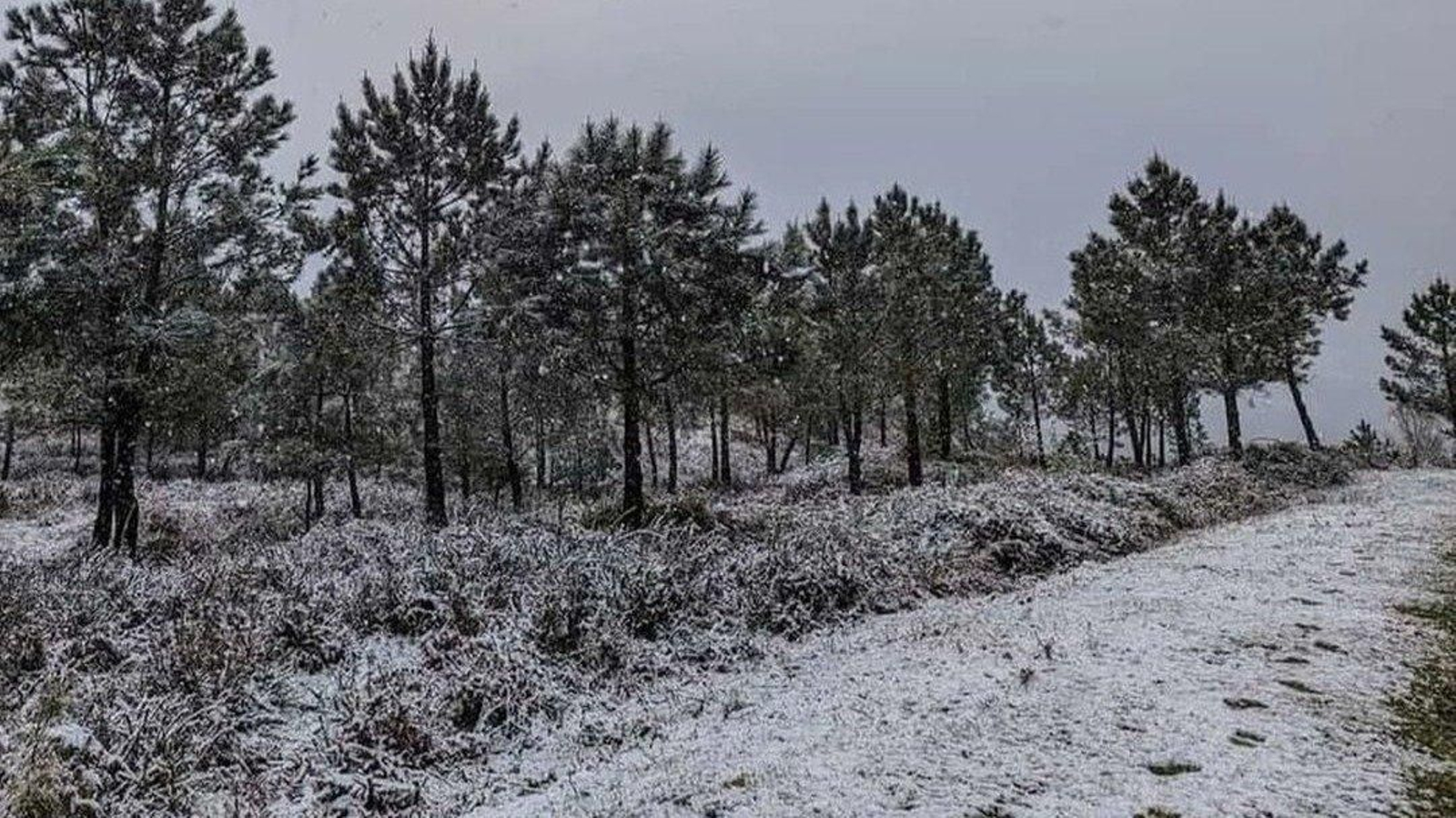 Nieve en el alto de Fontefría, en una foto compartida por el alcalde de A Cañiza, Luis Piña.