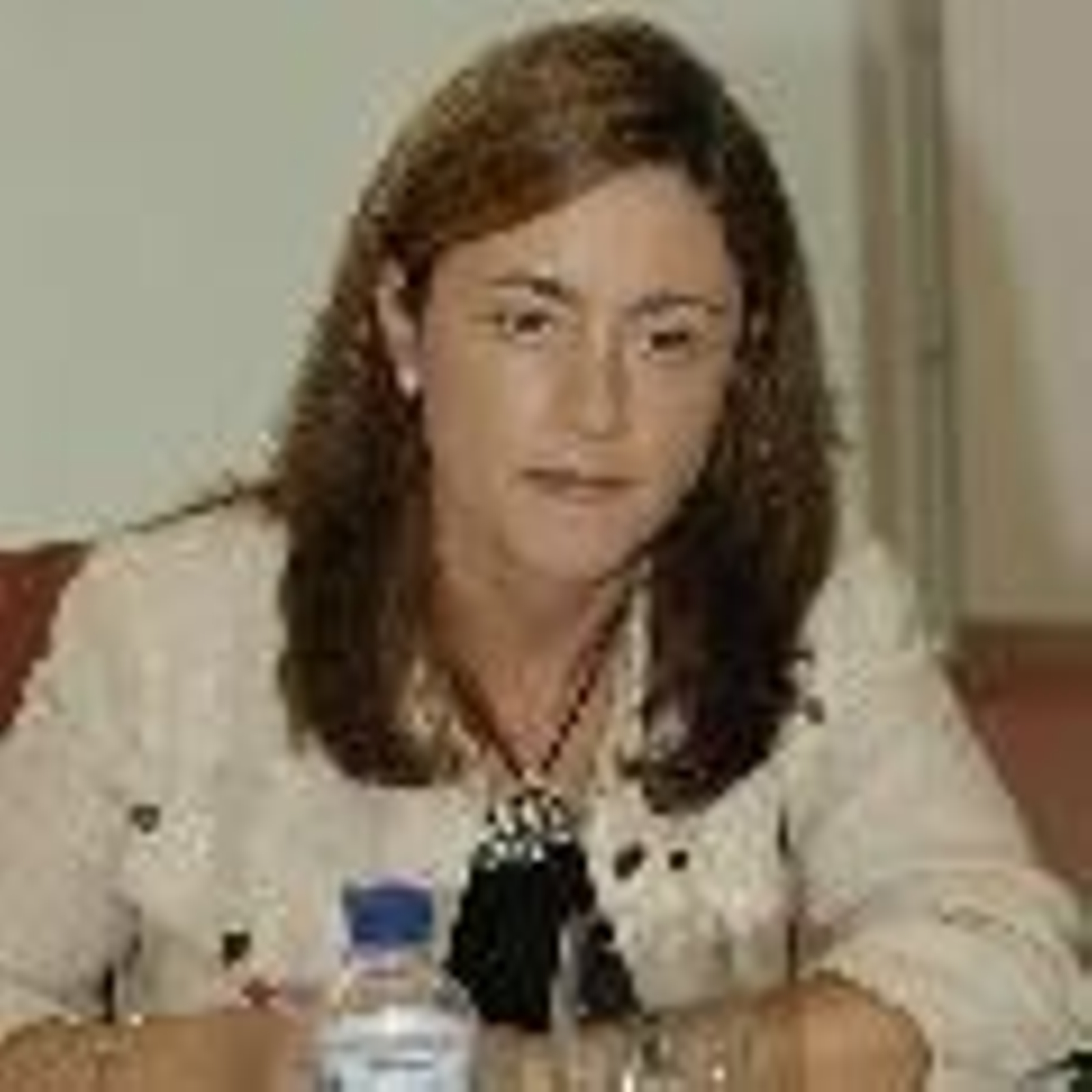 Ana Rosa Migoya, consejera de Administraciones Públicas.