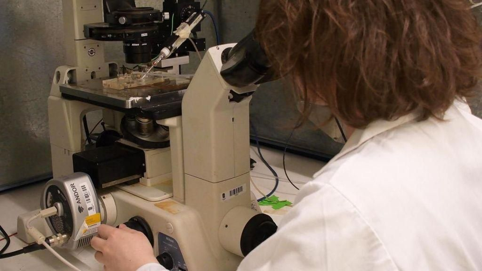 El informe traslada que “hombres y mujeres no van en el mismo barco” en investigación durante el covid.