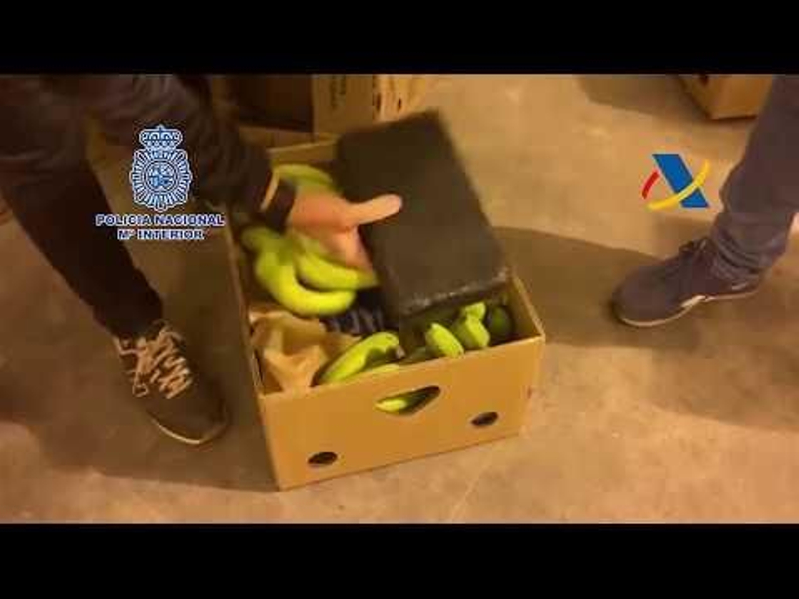 Desarticulado un grupo de narcotraficantes que importaba cocaína a oculta en bananas