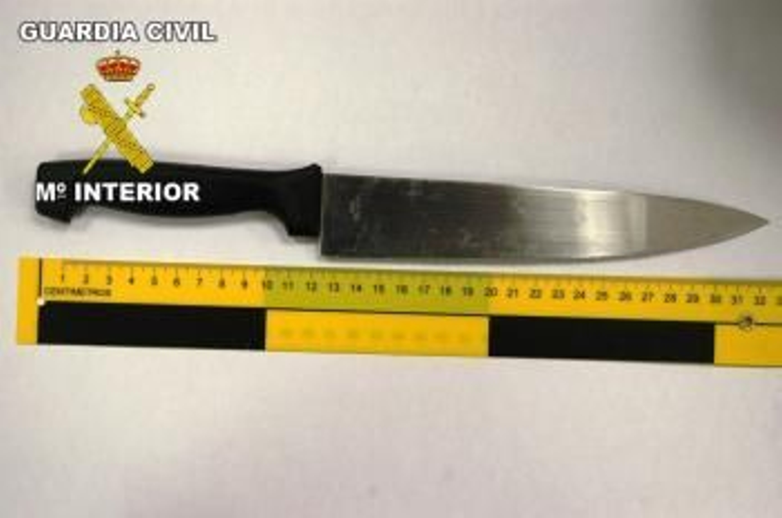 La investigación se inició el pasado día 2 de junio, tras una agresión con arma blanca en el domicilio de la víctima