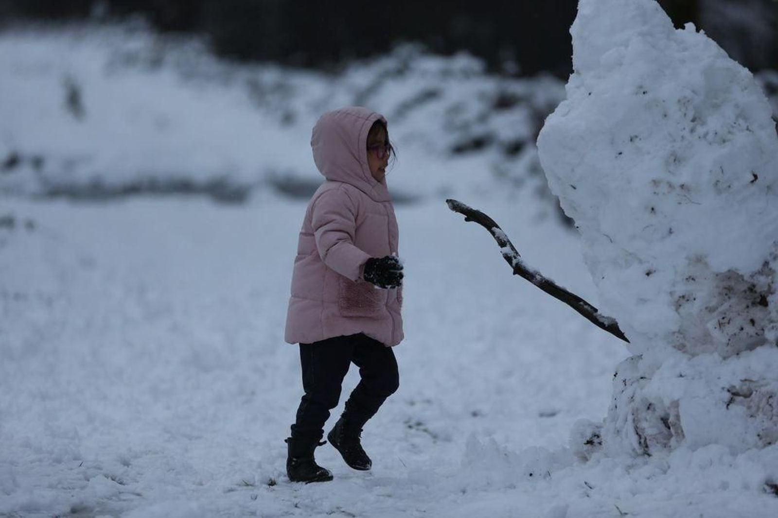 La nieve cubre el Alto de Fontefría // Alberte