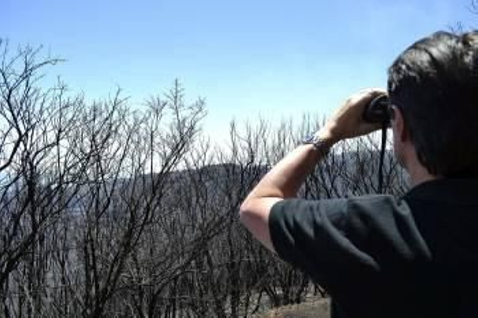 El ministro de Industria observa una de las zonas quemadas en la Gomera. (Foto: C. F.)