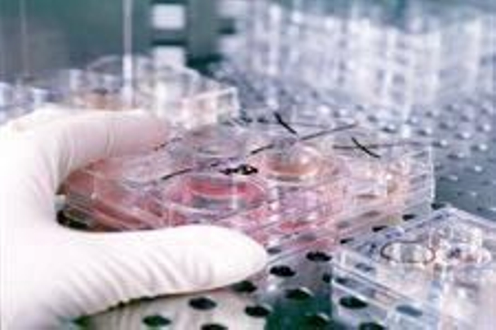 Foto: JUNTA DE ANDALUCÍA