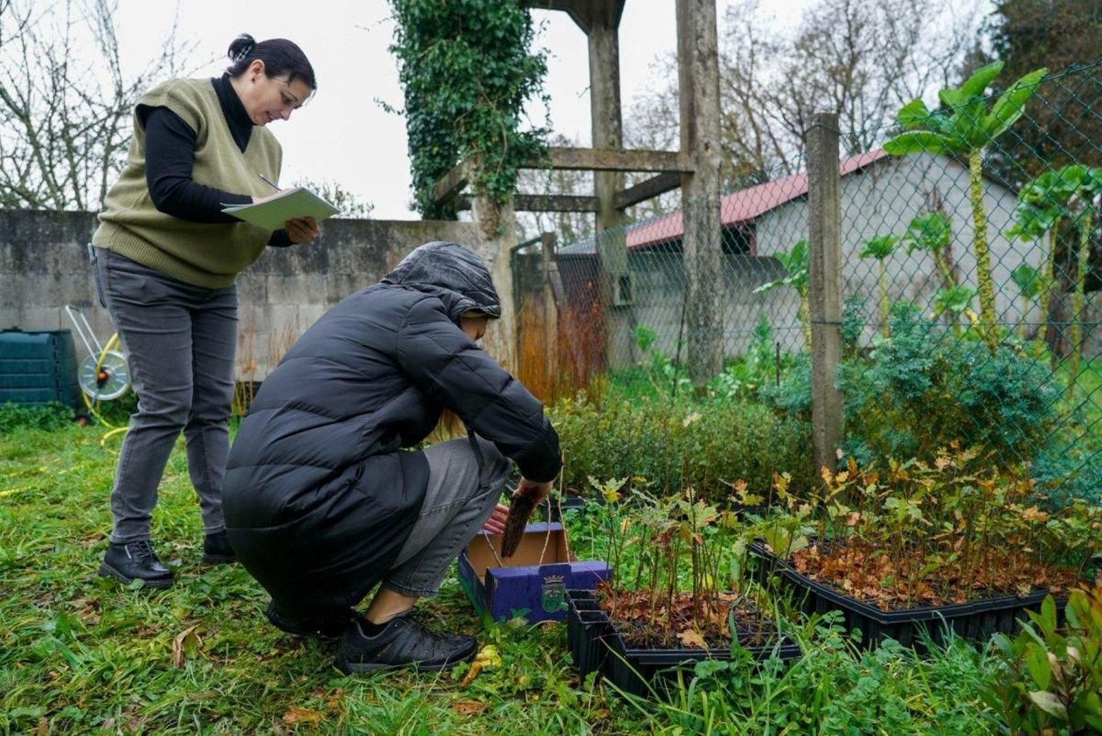 El Concello ofrece recursos para repoblar.