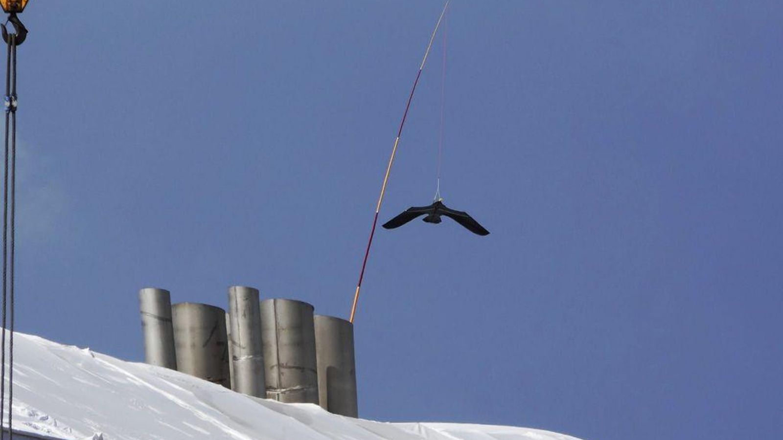 El Centro Loxístico Porto y el barco en Barreras utilizan nuevos sistemas para espantar a las gaviotas: la efectividad es muy alta. Consta de una caña larga con una cometa de un ave rapaz sujeta con una cuerda que se mueve con el viento