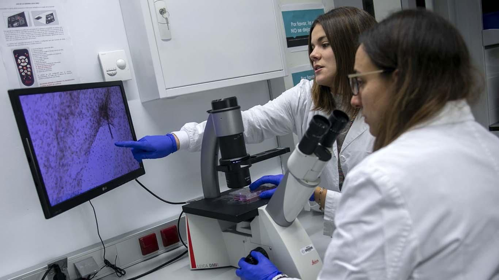 Galcia Investigación Retorno web