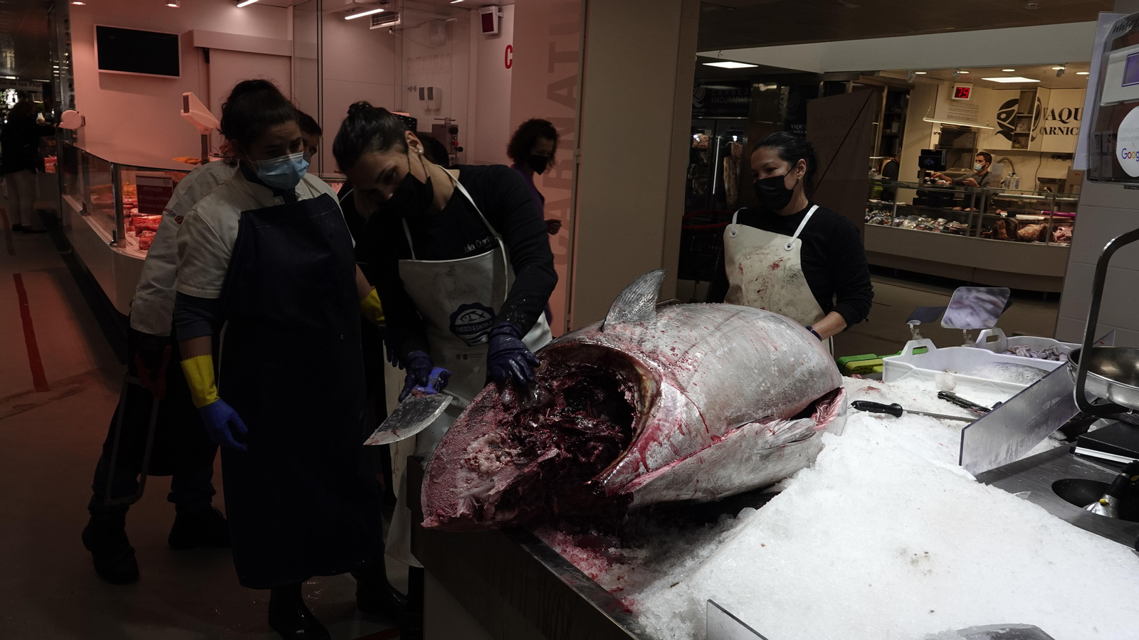 Ronqueo del atún rojo // Vicente Alonso