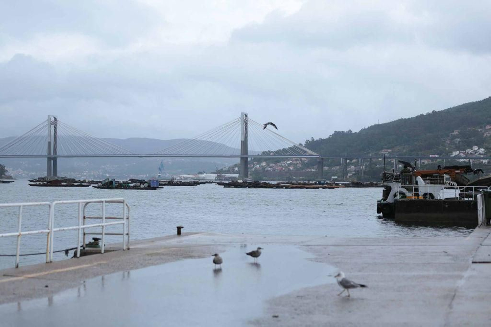 El presunto asesino se tiró desde el puente de Rande. Su cuerpo fue rescatado en Domaio.