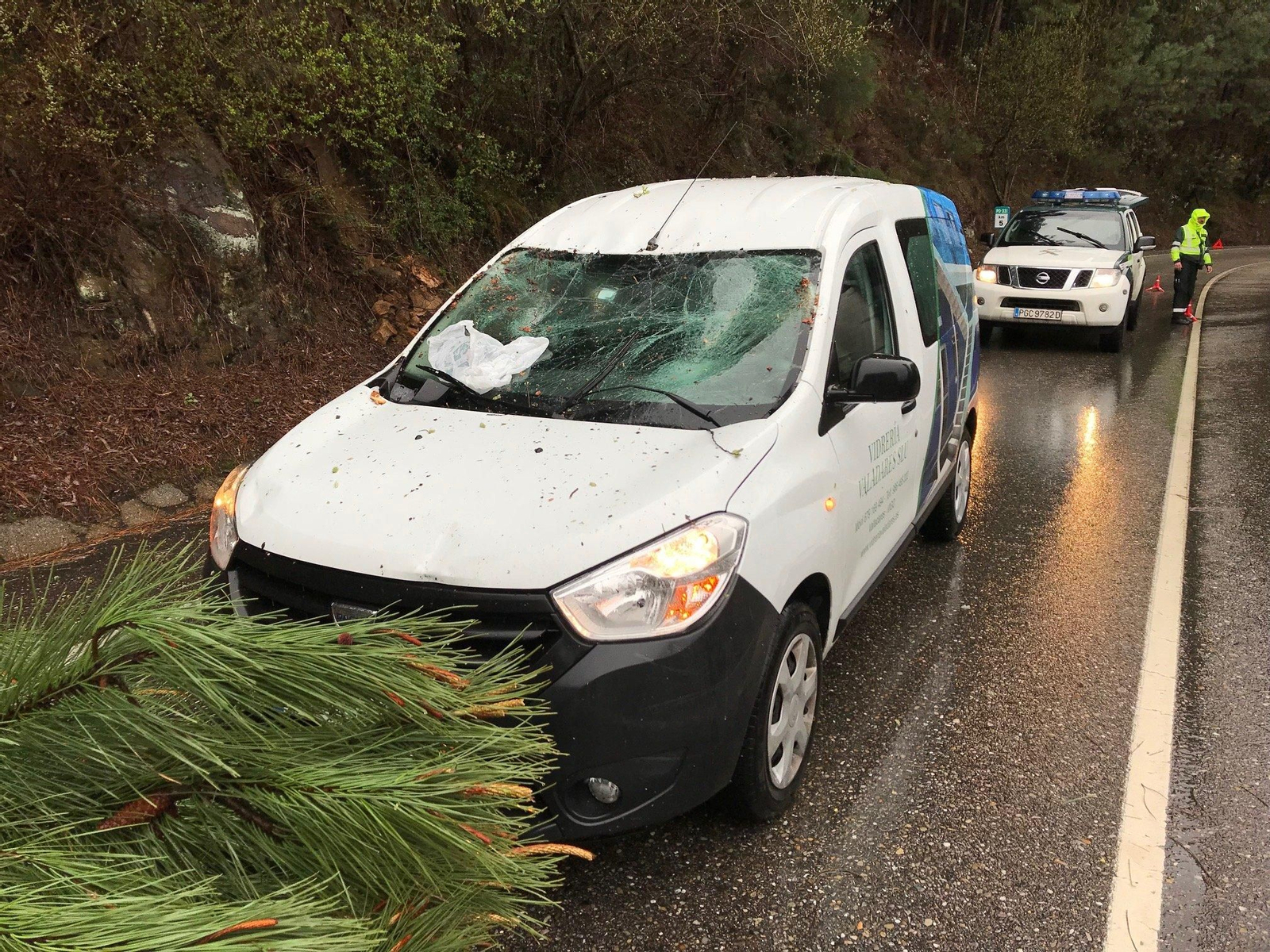 Un pino cae encima de un coche en la carretera que va de Porriño a Gondomar // Alberte