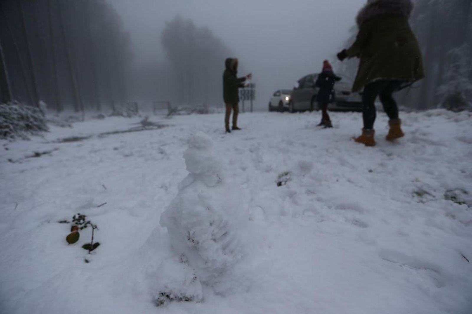 La nieve cubre el Alto de Fontefría // Alberte
