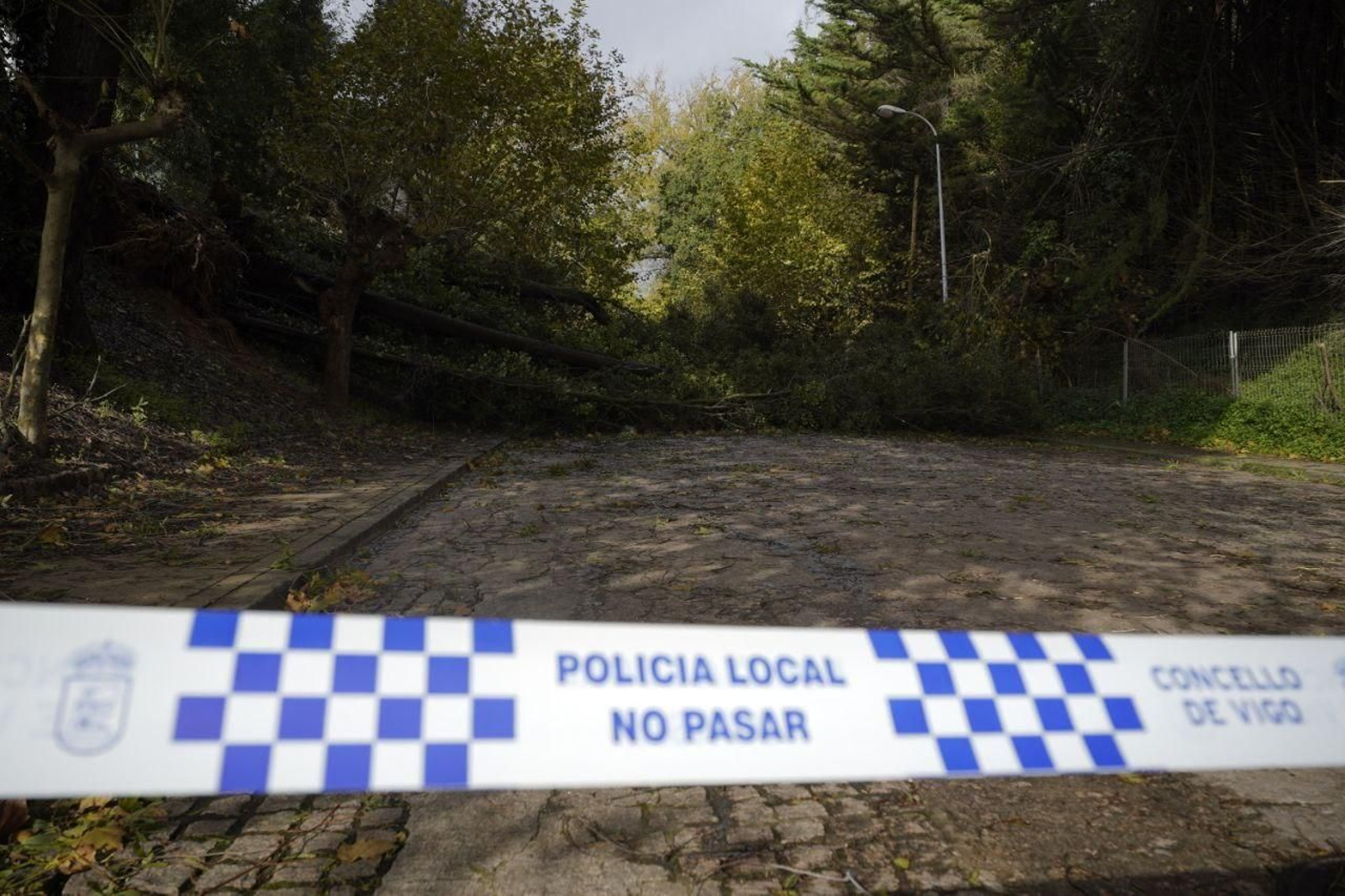 La entrada de la ETEA, bloqueada por la caída de árboles. // J.V. Landín
