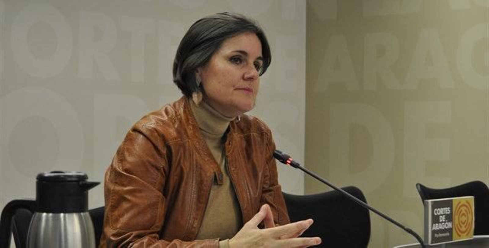 Elena Allue durante una comparecencia pública.