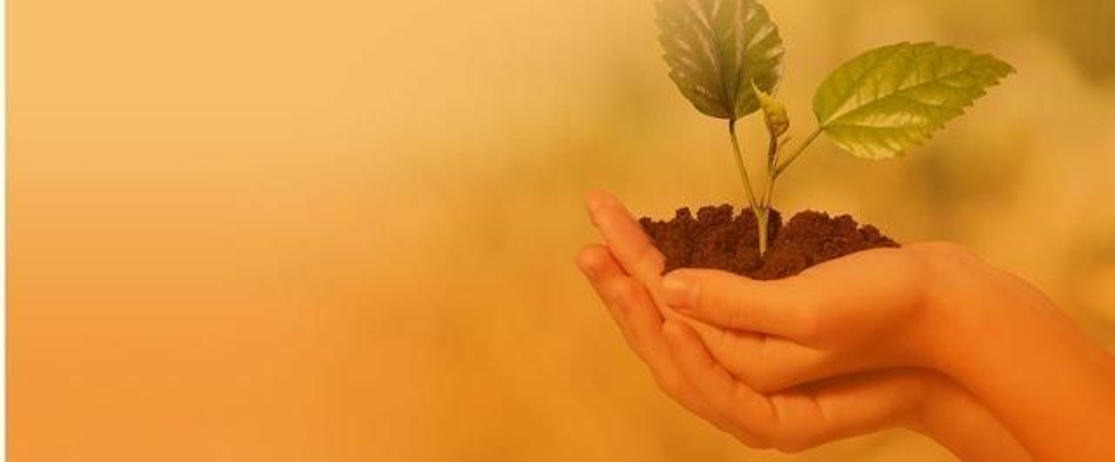 bg-image-empresa-medioambiente_result