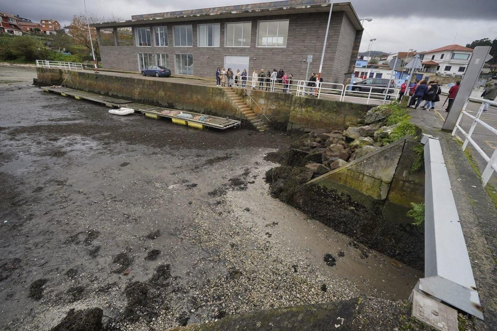 Marisco muerto en la arena junto a la lonja de Cesantes.
