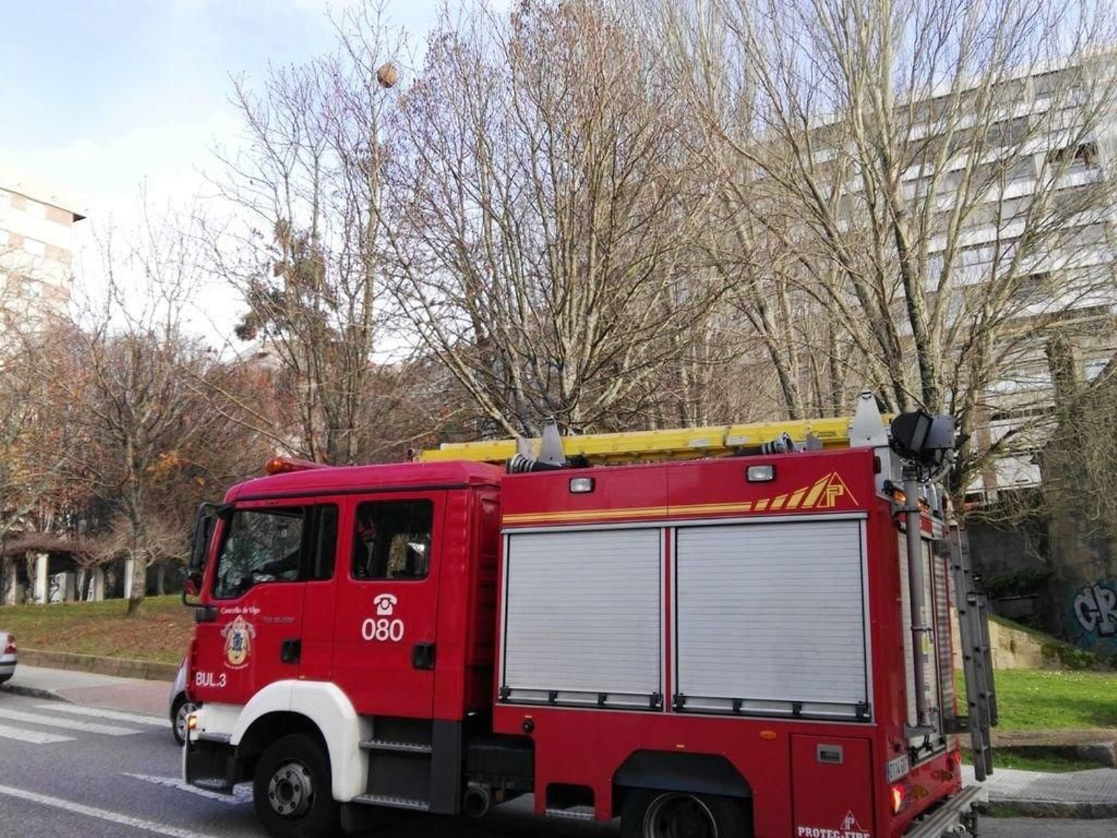 Adiós al nido de velutina en el parque de A Seara