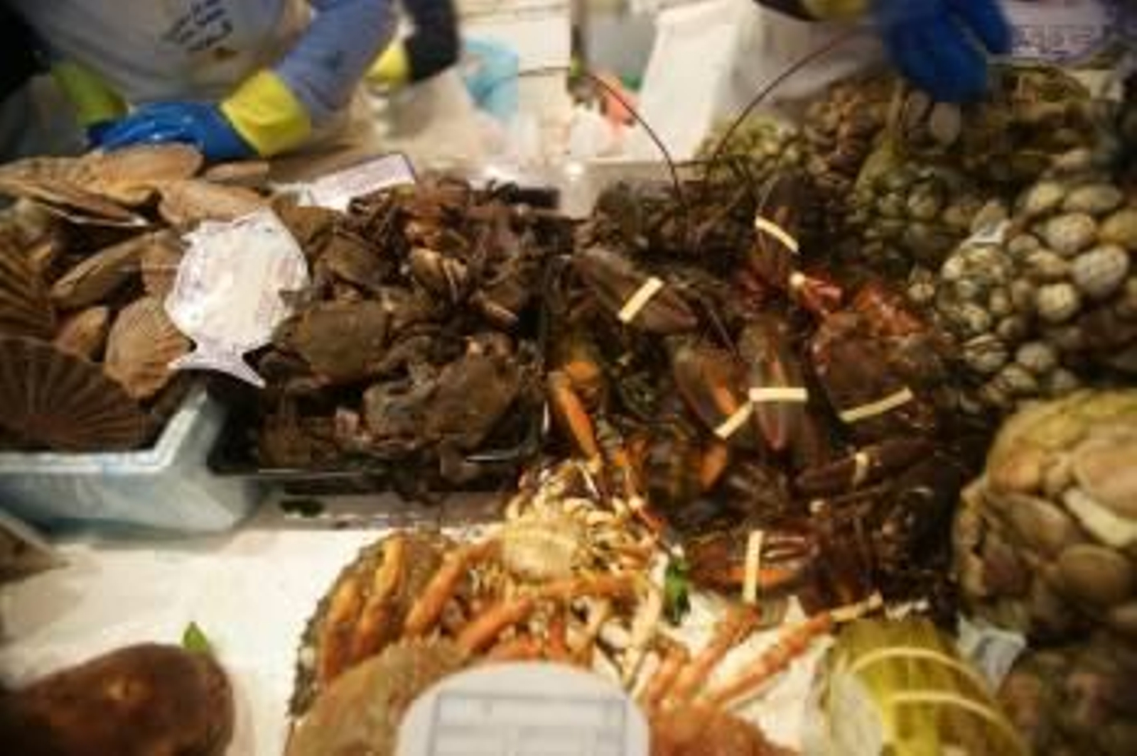 La nécora llegó a venderse a 40 euros en navidades. ARCHIVO