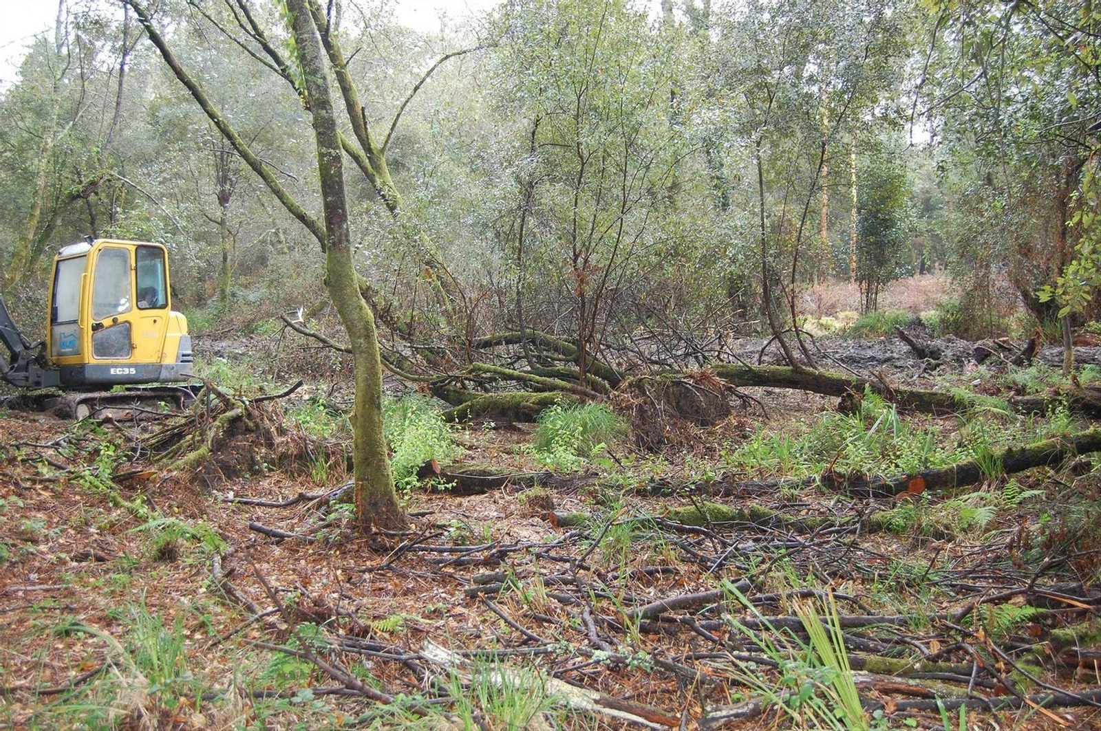 Obras en el nacimiento del río Lagares, por las que la Xunta ha sancionado con 98.500 euros a la Comunidad de Montes de Cabral, en Vigo. // EP