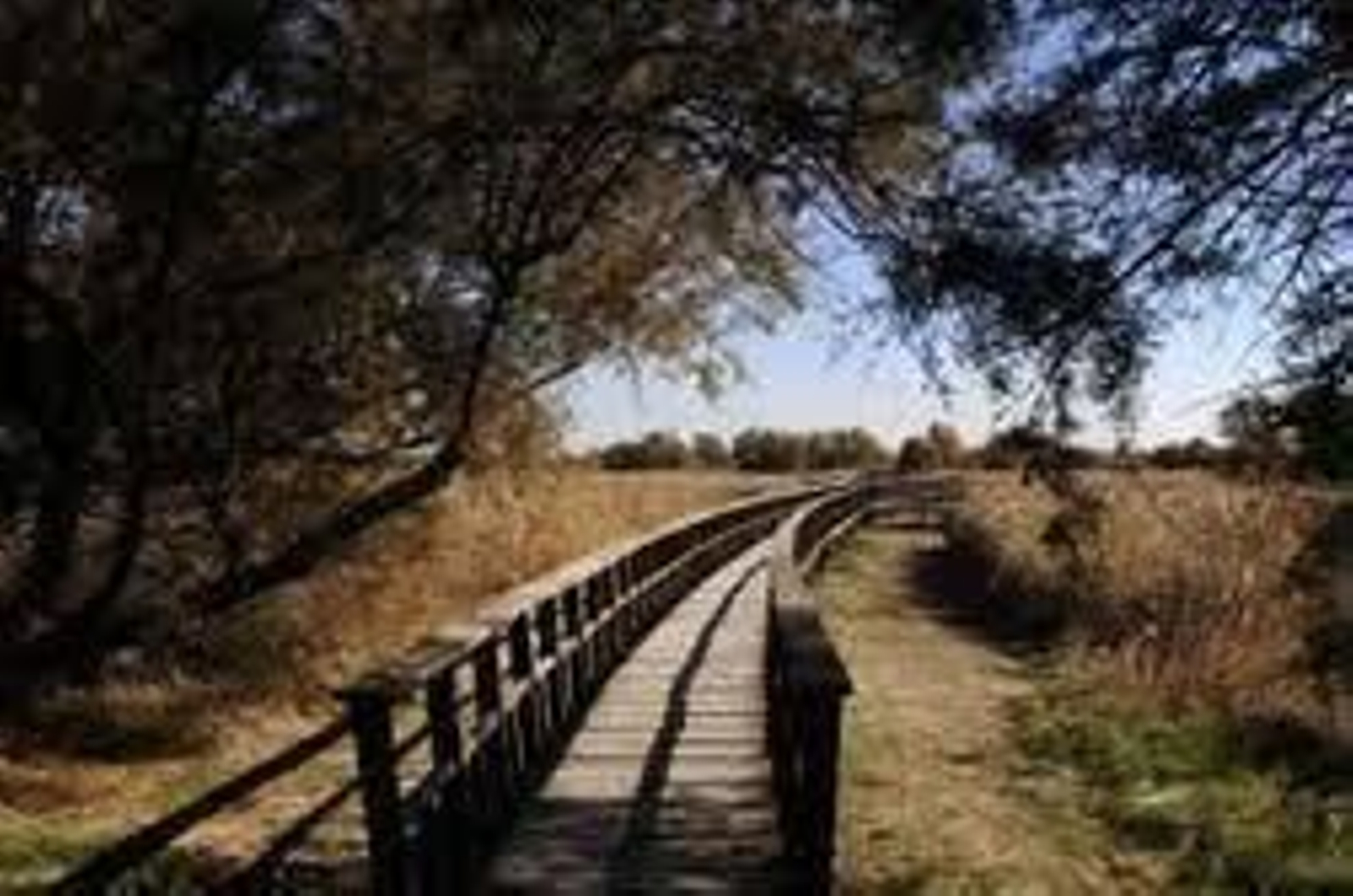 Un sendero del parque nacional.
