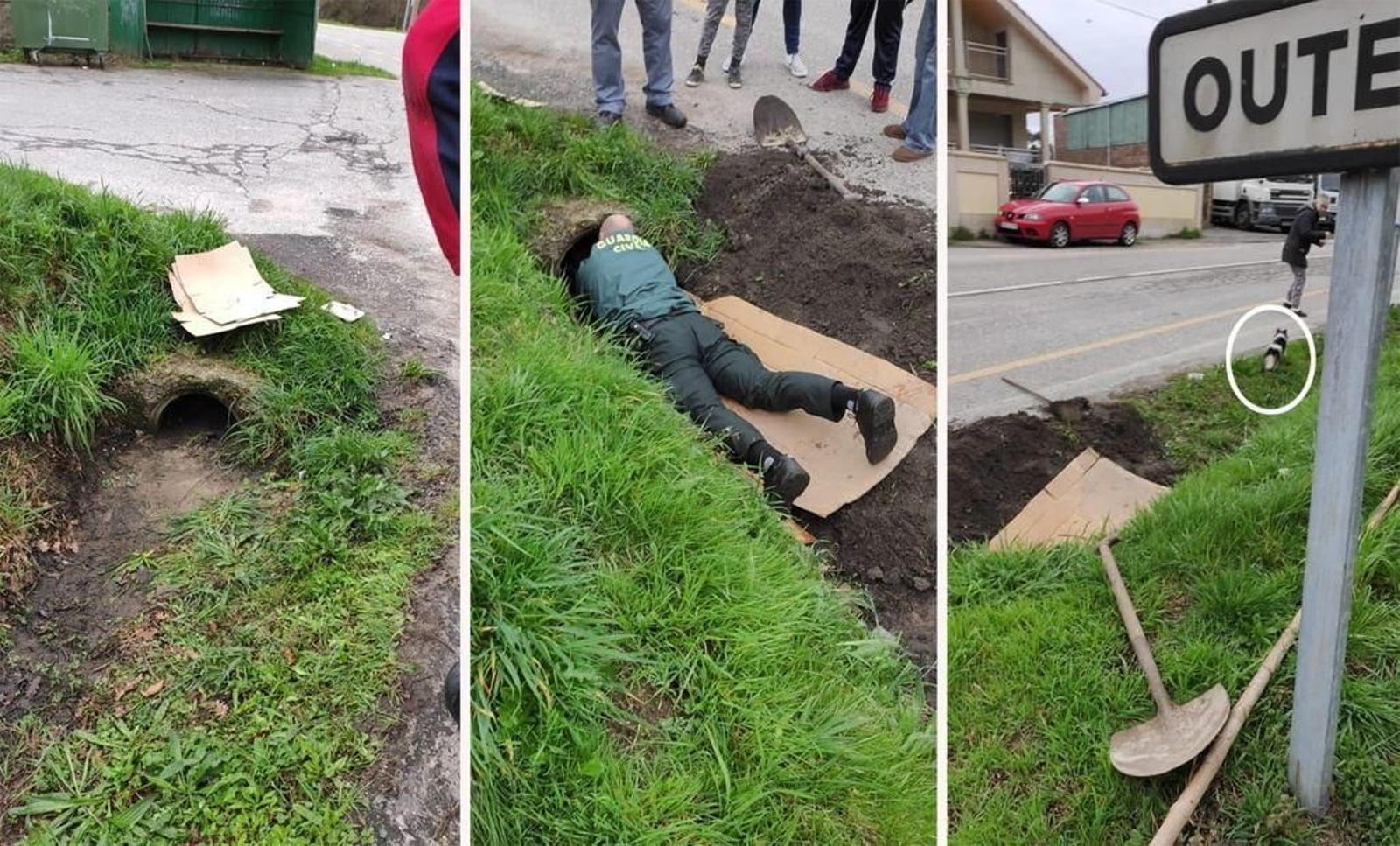En la secuencia: el lugar en el que estaba y al agente sacando al perro, que está en el circulo en la última foto.