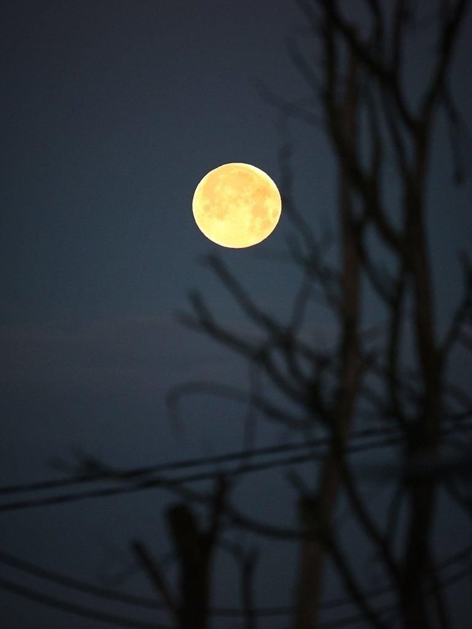 El eclipse total de Luna visto desde Vigo - Alberte  04