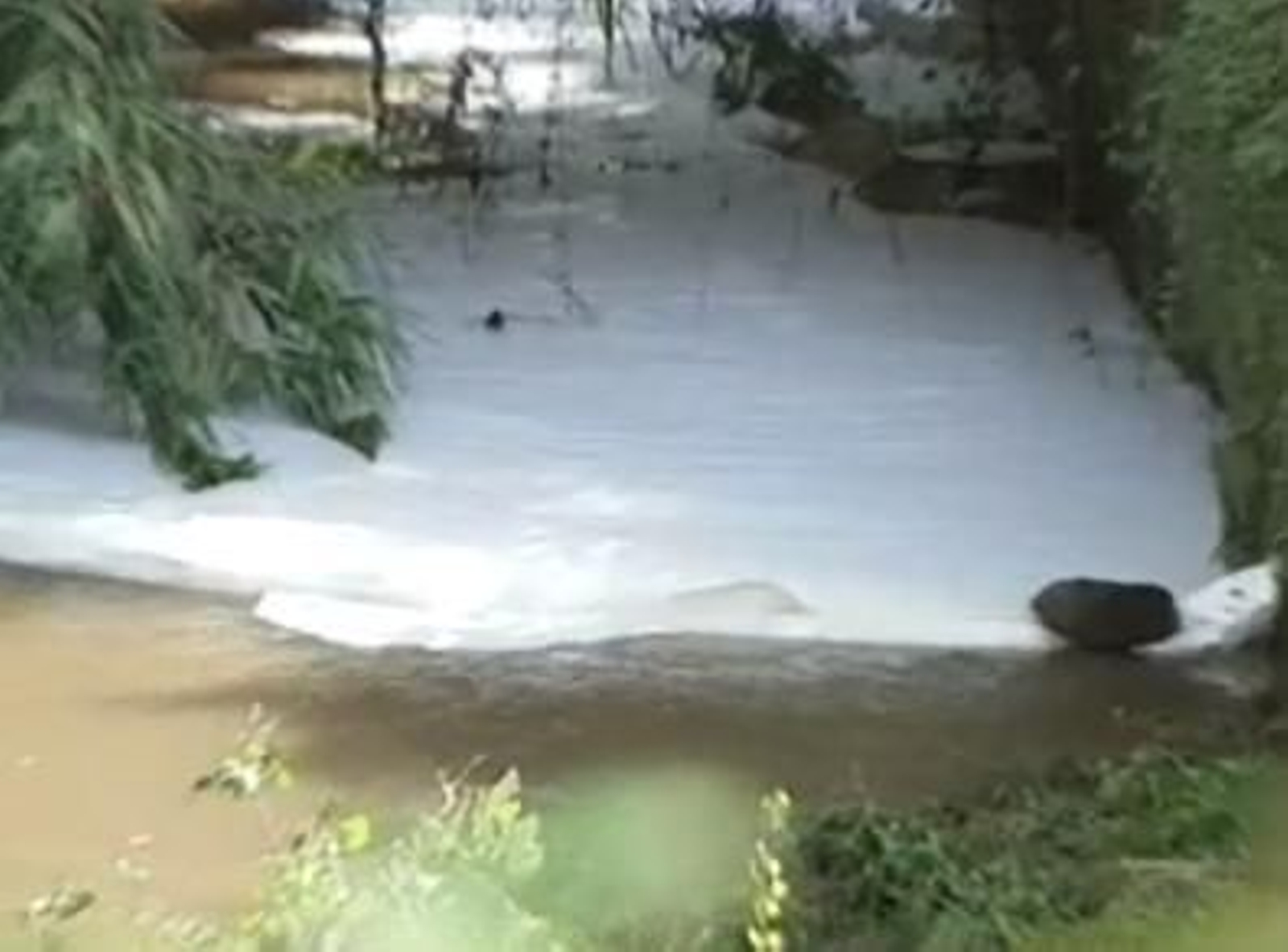 El vertido de lejía, detergente y alcohol registrado en el río Lagares