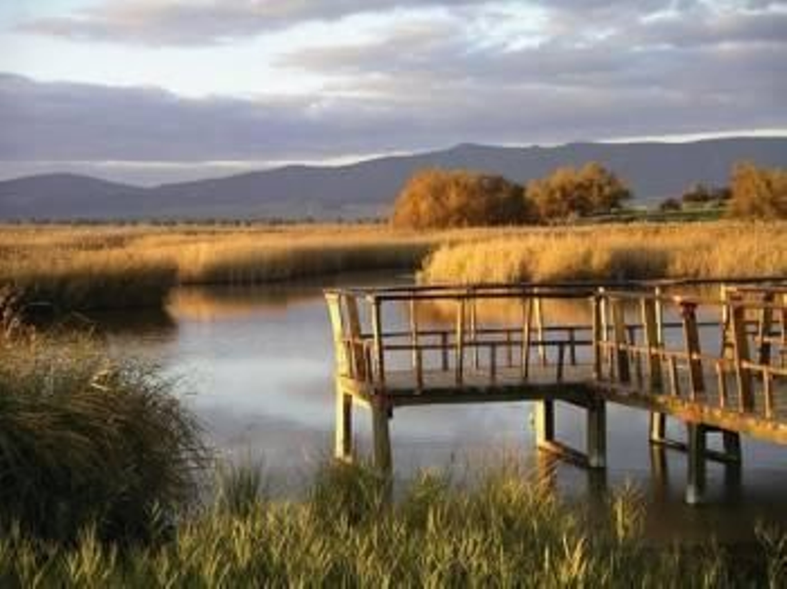 Las tablas de Daimiel.