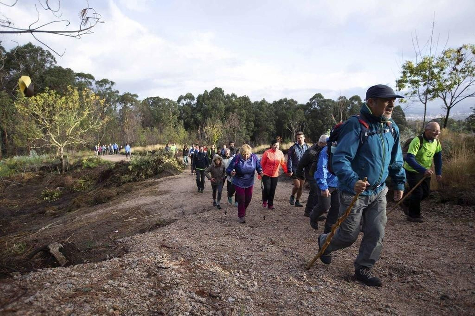 Se volverá a celebrar una andaina por la regeneración de los montes.