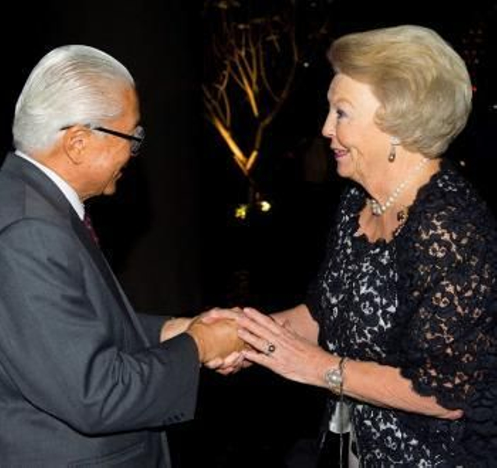 La reina Beatriz de Holanda (d), saluda al presidente de Singapur, Tony Tan (Foto: EFE)