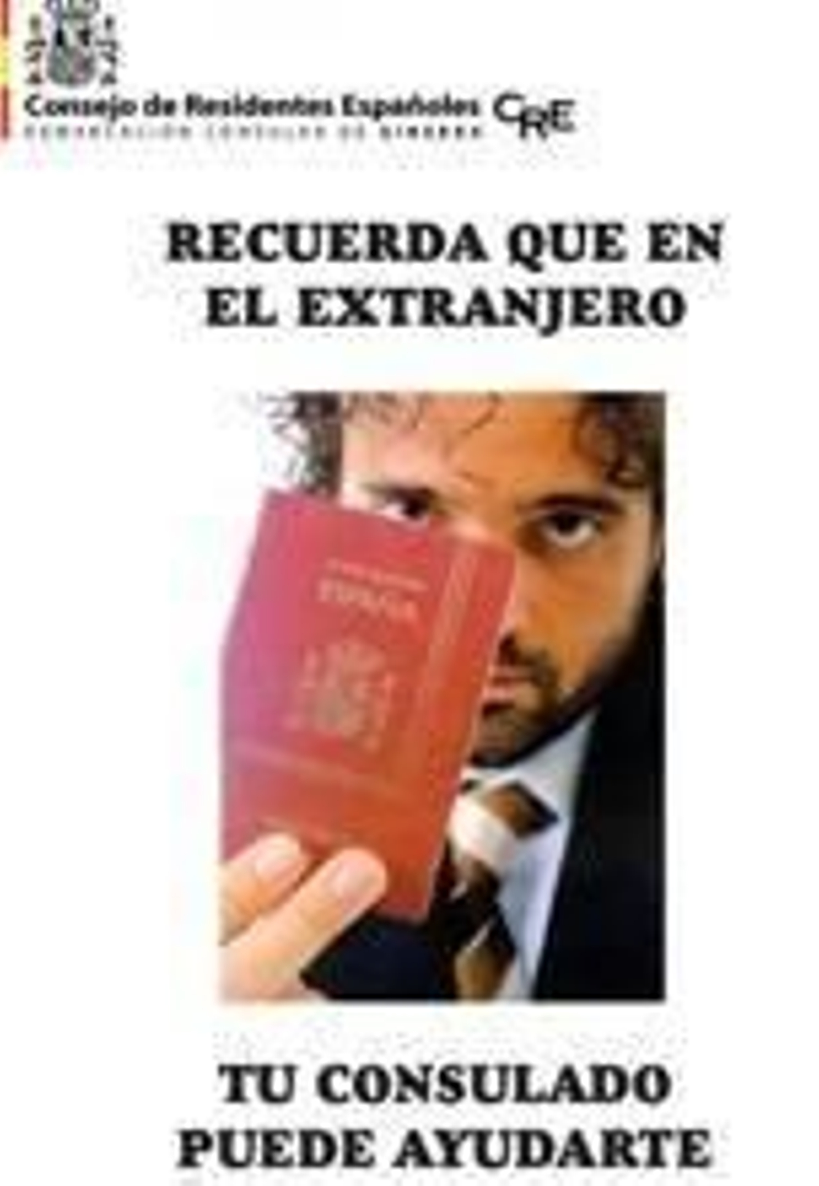 Presentación de los documentos en la página web.