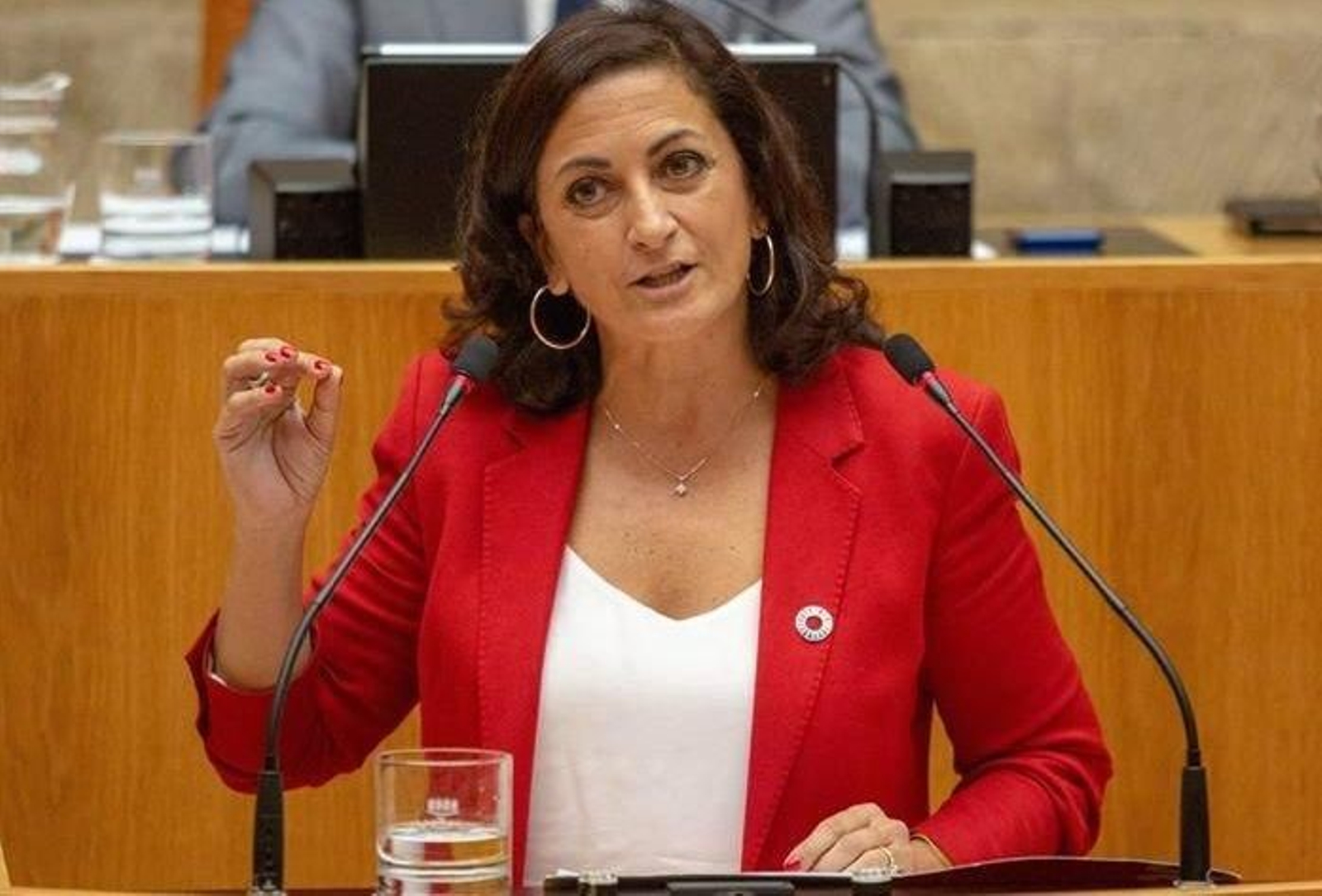 La socialista Concha Andreu